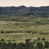  Theodore Roosevelt National Park